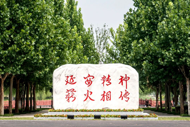 640 - 2026-01-14T160012.101_副本.jpg